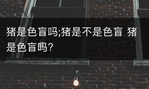 猪是色盲吗;猪是不是色盲 猪是色盲吗?