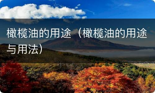 橄榄油的用途（橄榄油的用途与用法）