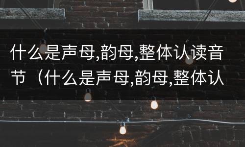 什么是声母,韵母,整体认读音节（什么是声母,韵母,整体认读音节的拼音）