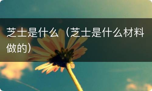 芝士是什么（芝士是什么材料做的）