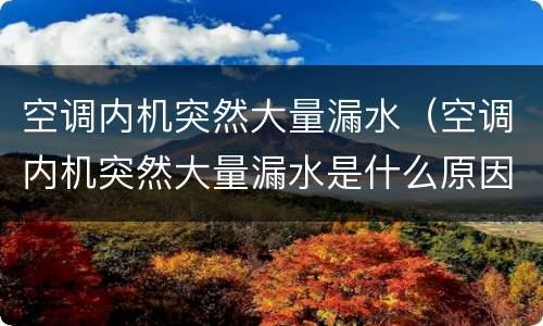 空调内机突然大量漏水（空调内机突然大量漏水是什么原因）