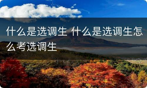 什么是选调生 什么是选调生怎么考选调生