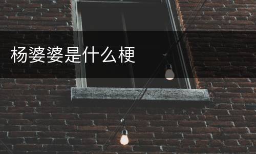 杨婆婆是什么梗