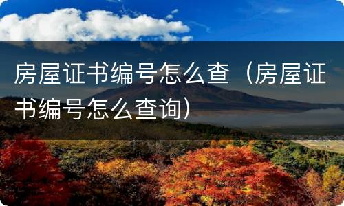 房屋证书编号怎么查（房屋证书编号怎么查询）
