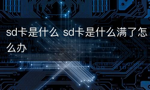 sd卡是什么 sd卡是什么满了怎么办