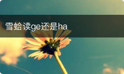雪蛤读ge还是ha
