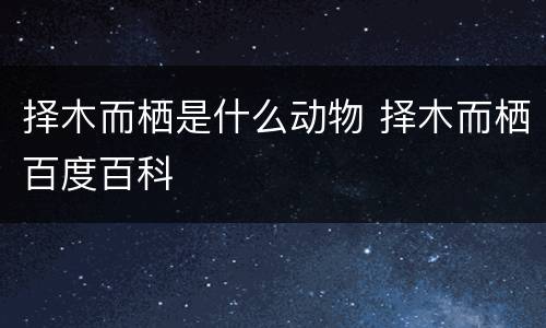 择木而栖是什么动物 择木而栖百度百科