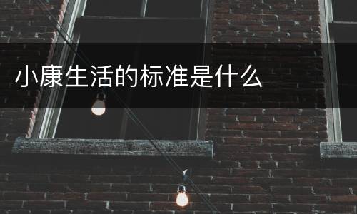 小康生活的标准是什么