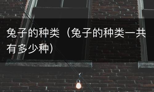 兔子的种类（兔子的种类一共有多少种）