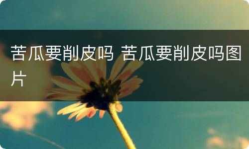 苦瓜要削皮吗 苦瓜要削皮吗图片