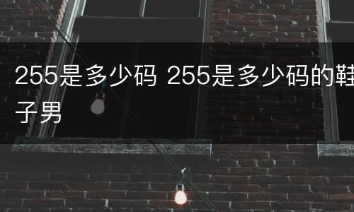 255是多少码 255是多少码的鞋子男