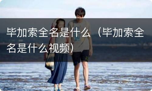 毕加索全名是什么（毕加索全名是什么视频）