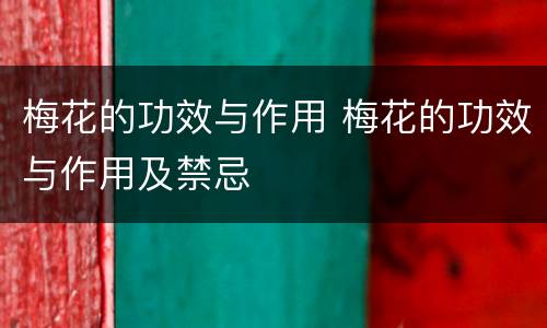 梅花的功效与作用 梅花的功效与作用及禁忌