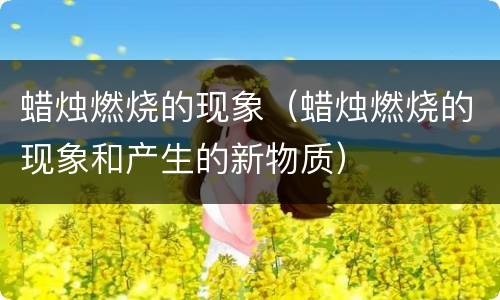 蜡烛燃烧的现象（蜡烛燃烧的现象和产生的新物质）