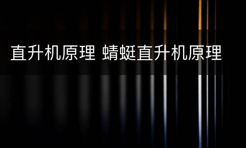 直升机原理 蜻蜓直升机原理