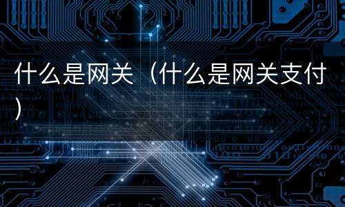 什么是网关（什么是网关支付）