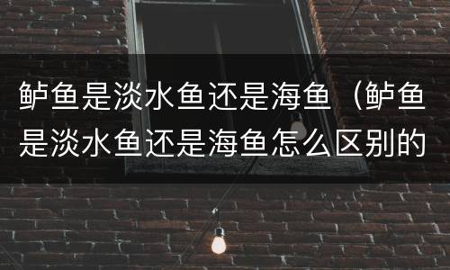 鲈鱼是淡水鱼还是海鱼（鲈鱼是淡水鱼还是海鱼怎么区别的图片）