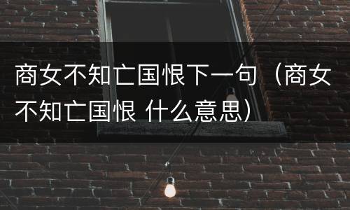商女不知亡国恨下一句（商女不知亡国恨 什么意思）