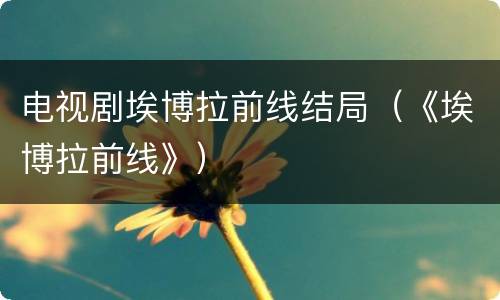 电视剧埃博拉前线结局（《埃博拉前线》）