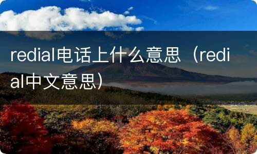 redial电话上什么意思（redial中文意思）