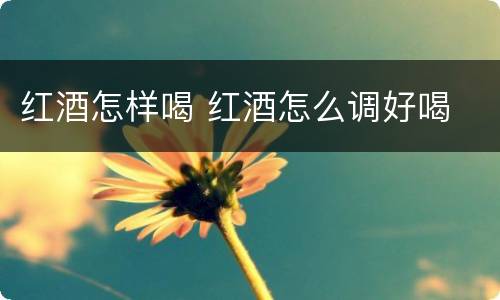 红酒怎样喝 红酒怎么调好喝