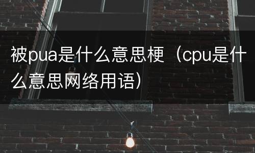 被pua是什么意思梗（cpu是什么意思网络用语）