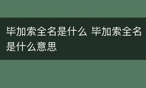 毕加索全名是什么 毕加索全名是什么意思
