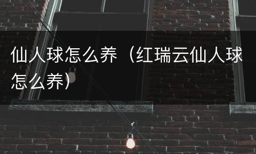 仙人球怎么养（红瑞云仙人球怎么养）