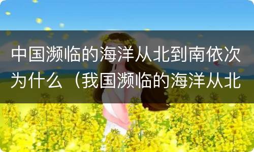 中国濒临的海洋从北到南依次为什么（我国濒临的海洋从北往南）