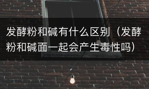 发酵粉和碱有什么区别（发酵粉和碱面一起会产生毒性吗）