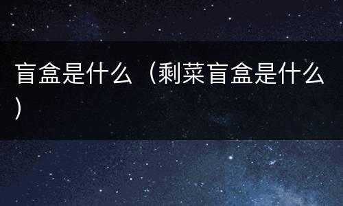 盲盒是什么（剩菜盲盒是什么）