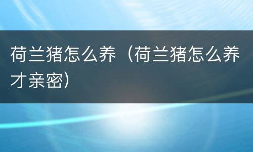 荷兰猪怎么养（荷兰猪怎么养才亲密）