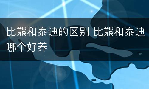 比熊和泰迪的区别 比熊和泰迪哪个好养