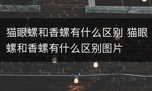 猫眼螺和香螺有什么区别 猫眼螺和香螺有什么区别图片