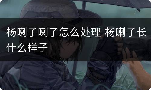 杨喇子喇了怎么处理 杨喇子长什么样子