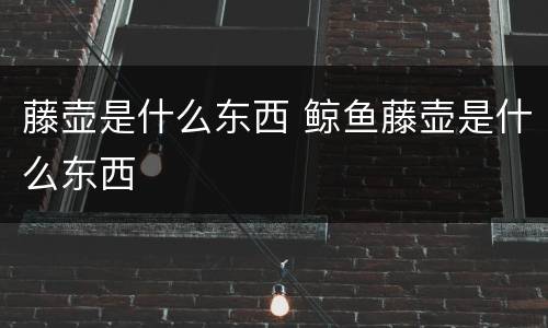 藤壶是什么东西 鲸鱼藤壶是什么东西