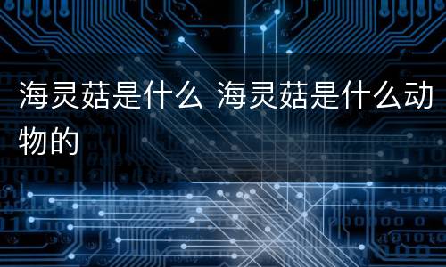 海灵菇是什么 海灵菇是什么动物的