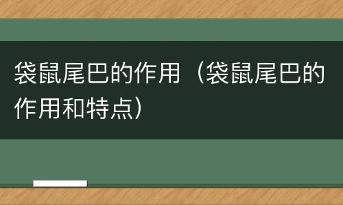 袋鼠尾巴的作用（袋鼠尾巴的作用和特点）