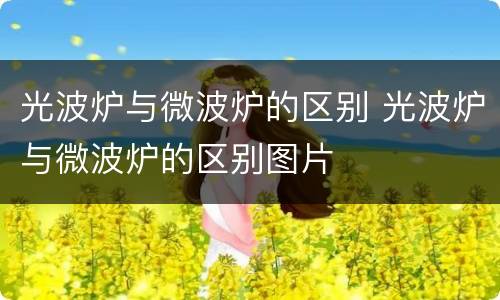 光波炉与微波炉的区别 光波炉与微波炉的区别图片