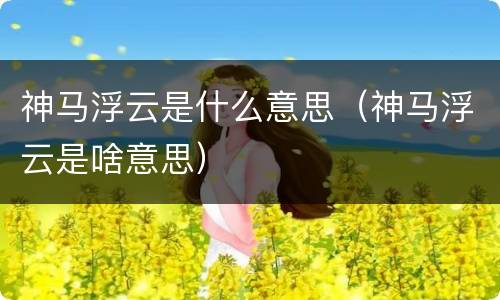 神马浮云是什么意思（神马浮云是啥意思）
