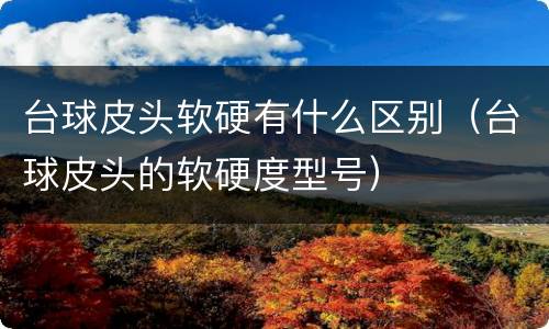 台球皮头软硬有什么区别（台球皮头的软硬度型号）