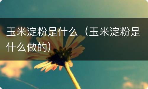玉米淀粉是什么（玉米淀粉是什么做的）