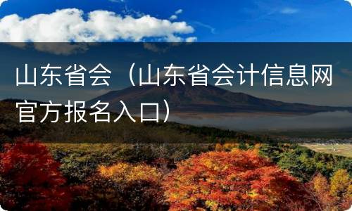 山东省会（山东省会计信息网官方报名入口）