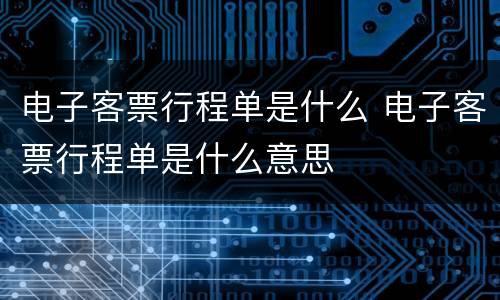 电子客票行程单是什么 电子客票行程单是什么意思