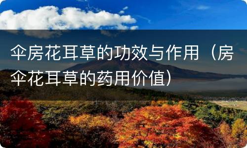 伞房花耳草的功效与作用（房伞花耳草的药用价值）