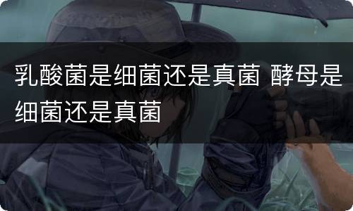 乳酸菌是细菌还是真菌 酵母是细菌还是真菌