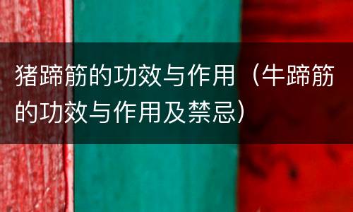 猪蹄筋的功效与作用（牛蹄筋的功效与作用及禁忌）