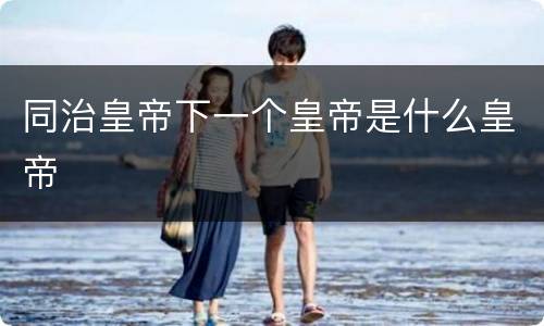 同治皇帝下一个皇帝是什么皇帝