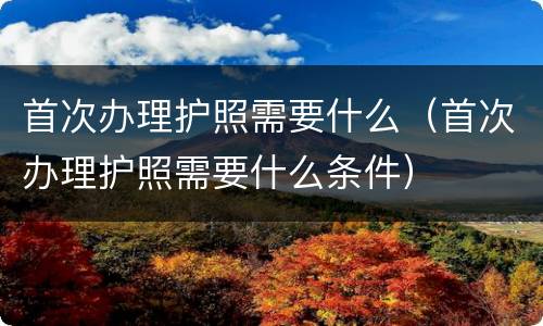 首次办理护照需要什么（首次办理护照需要什么条件）