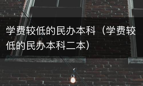 学费较低的民办本科（学费较低的民办本科二本）